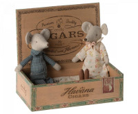 Grandma_and_Grandpa_mice_in_cigarbox_3