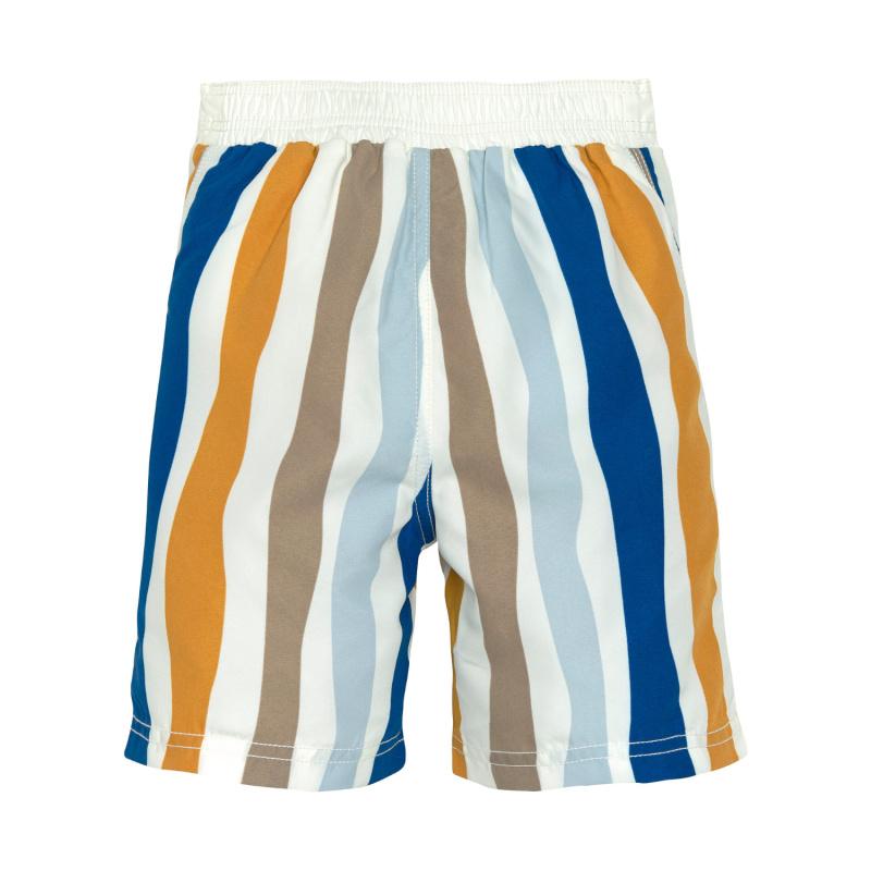 Board_Shorts_Waves_blue_nature_Multi