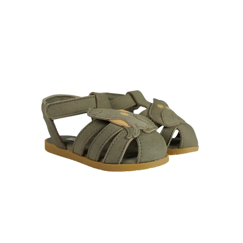Damio_Sandals___Frog_Groen