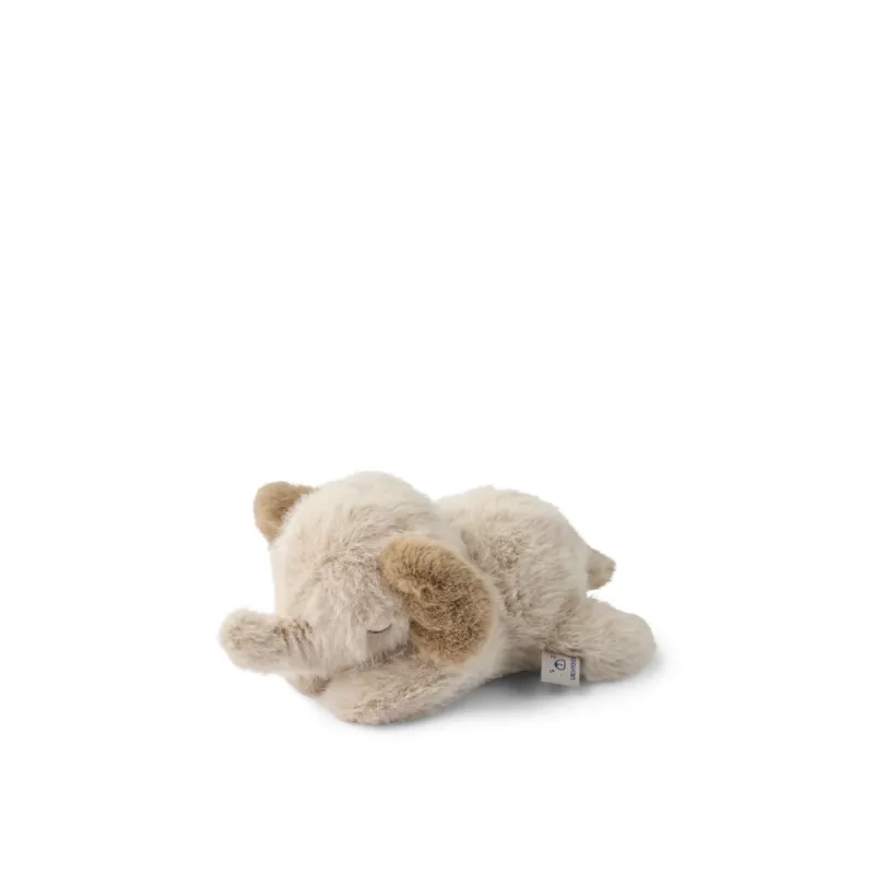 Dania_Elephant_Rattle_Mist_