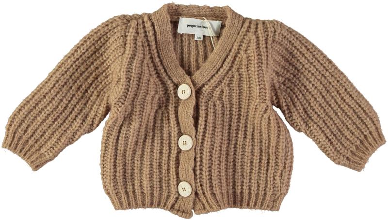 Jersey_Cardigan_Old_camel_Bruin