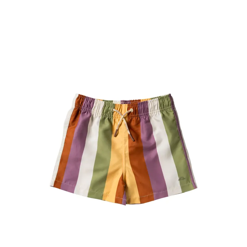 Multi_Stripe___Swim_Shorts_Multi