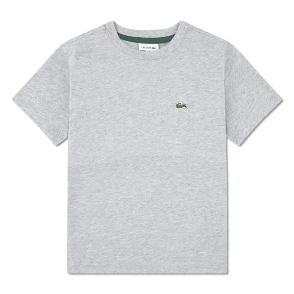 S_s_Tee_Grijs