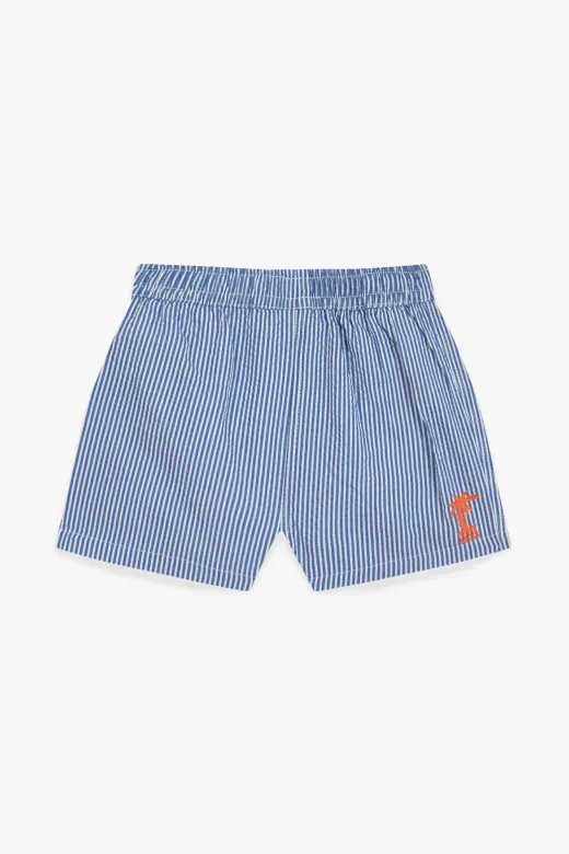 Shorts_Blauw_58
