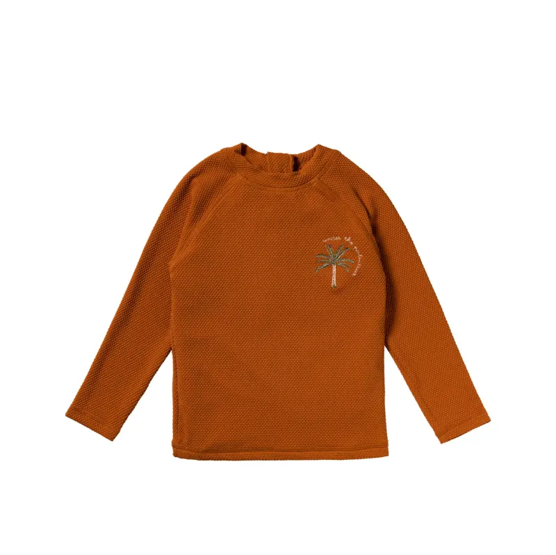 Solid___Swim_Longsleeve_Bruin