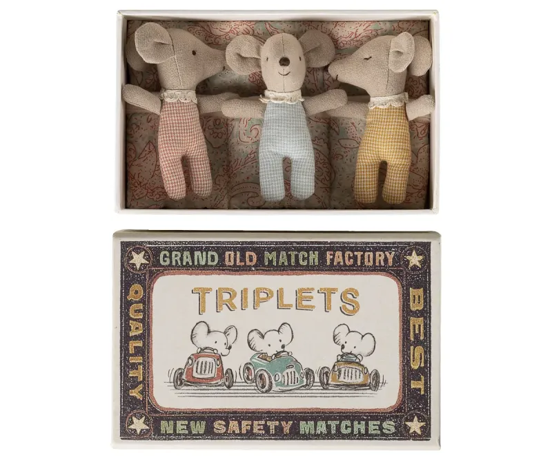 Triplets__Baby_mice_in_matchbox___Checker_