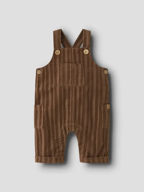 _Bruin_1