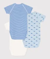 3_Bodies_Naiss_MC_Blauw_1