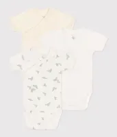 3_Bodies_Naiss_MC_Multi_4