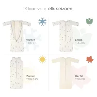 4_Seasons_Bag_Balloons__3