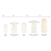 4_Seasons_Bag_Balloons__8