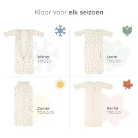 4_Seasons_Bag_Blue_Berry__1