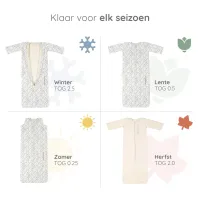 4_Seasons_Bag_Swallows_Ecru_1