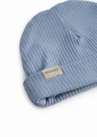 Aiko_Rose_Touch_l_blauw_1