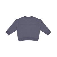 Baby_Boys_Sweater_Blauw_1