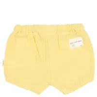 Baby_bloomer_Faro_Honey_Geel_1