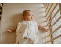 Bag_newborn_Teddy_Bears_