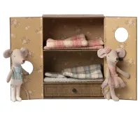 Ballet_mice_in_dance_studio__Little_sister_and_brother__1