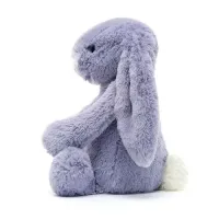 Bashful_Viola_Bunny_original__1