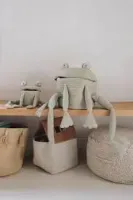 Basket_Mini_Fred_the_Frog__1