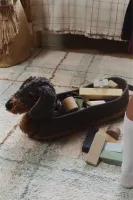 Basket_Sparky__1