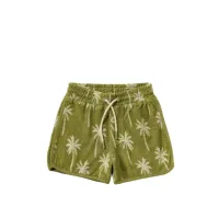 Beach_Palms___Shorts_Iguana_Groen