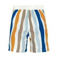 Board_Shorts_Waves_blue_nature_Multi