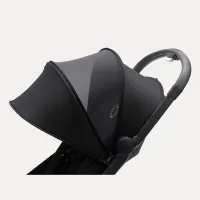 Butterfly_1_Black__Midnight_black_Zwart_2