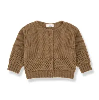 Cardigan_Bruin_2