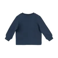 Collegiate_LS_Tee_Blauw_1