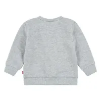 Crewneck_Grijs_1