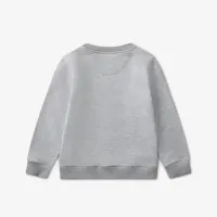 Crewneck_Sweatshirt_Grijs_1
