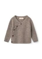 Cross_over_Cardigan_Bruin
