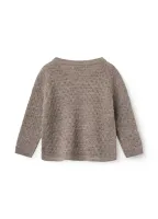 Cross_over_Cardigan_Bruin_1