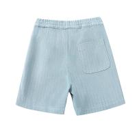 Cyriel_Shorts___Steel_Blue_Striped_Blauw_1