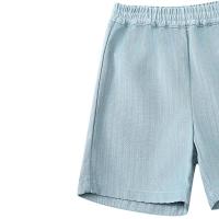 Cyriel_Shorts___Steel_Blue_Striped_Blauw_2