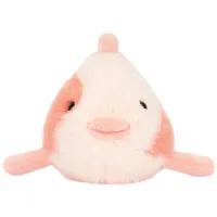 Fancy_Carp__1