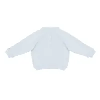 Foppe_Sweater___Polar_Bears_Blauw_3