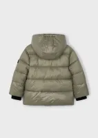 Glossy_coat_Groen_1