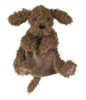 Labradoodle_Larry_Tuttle_