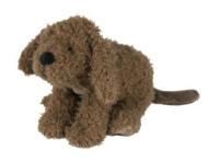 Labradoodle_Larry_no__1_