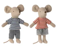 Little_brother_mouse_in_matchbox___4