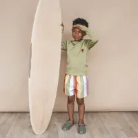 Multi_Stripe___Swim_Shorts_Multi_1