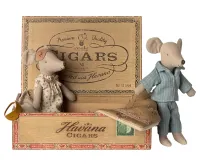 Mum___Dad_mice_in_cigarbox__2