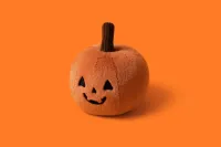 Ooky_Jack_O_Lantern__1