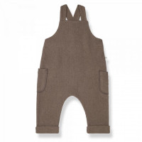 Overall_31