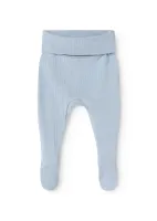 Pixa_Blue_Coast_Blauw