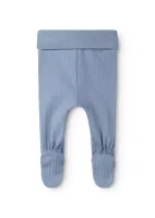 Pixa_Blue_Iris_Blauw_1