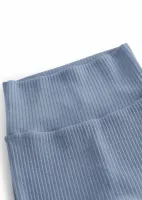 Pixa_Blue_Iris_Blauw_2