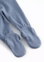 Pixa_Blue_Iris_Blauw_3